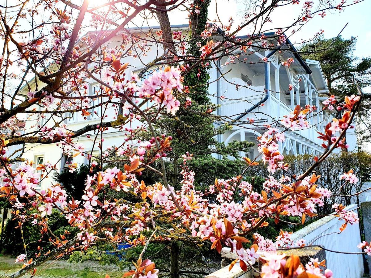 Villa Asta Binz Exteriör bild